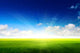 Green Field and Sky Wall Decal