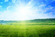 Country Landscape Wall Decal