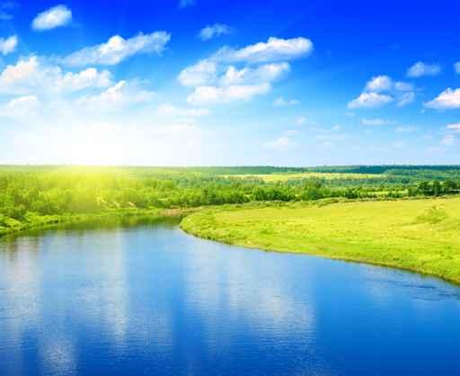 River and Summer Nature Wall Decal Design 3