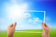 Photo Green Field Hands Wall Decal Design 2
