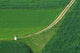 Path to Chapel Wall Decal