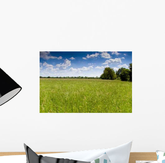 Prairie Wall Decal Design 4