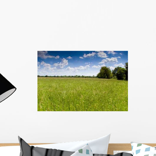 Prairie Wall Decal Design 4