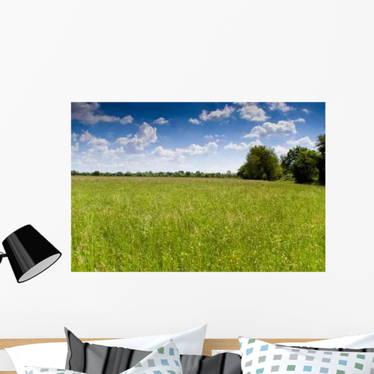 Prairie Wall Decal Design 4