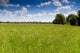 Prairie Wall Decal Design 4