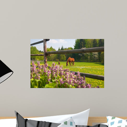 Horses Paddock Wall Decal
