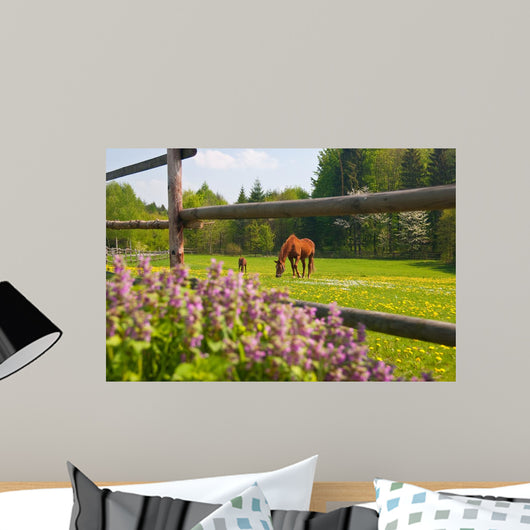Horses Paddock Wall Decal