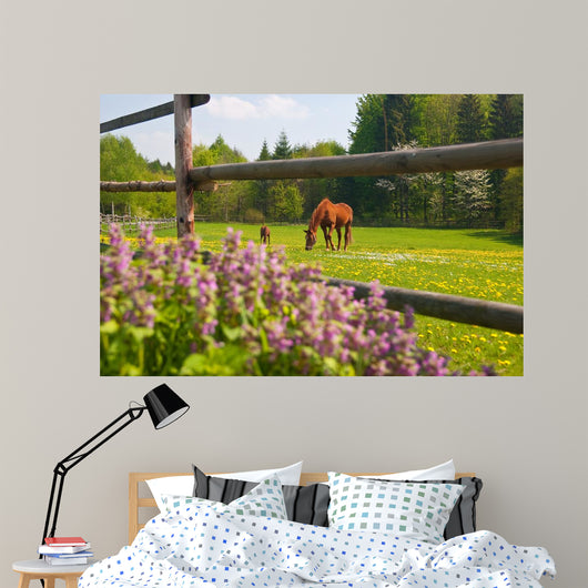Horses Paddock Wall Decal