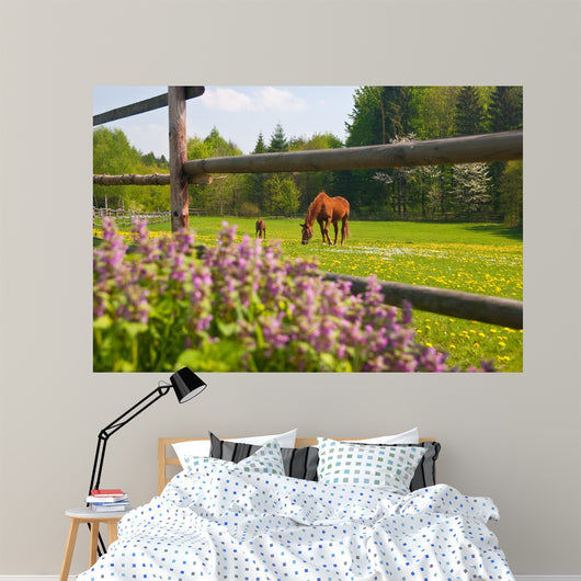 Horses Paddock Wall Decal