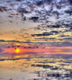 Beautiful Sunset with Flock Wall Decal