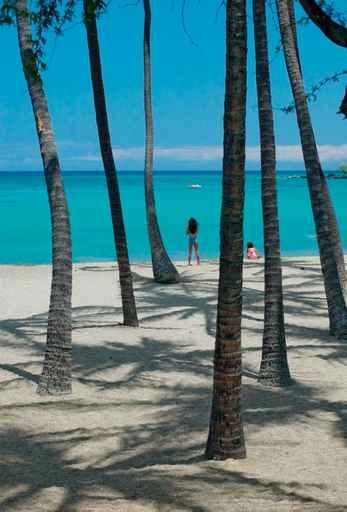 Tropical Beach Wall Decal Design 5