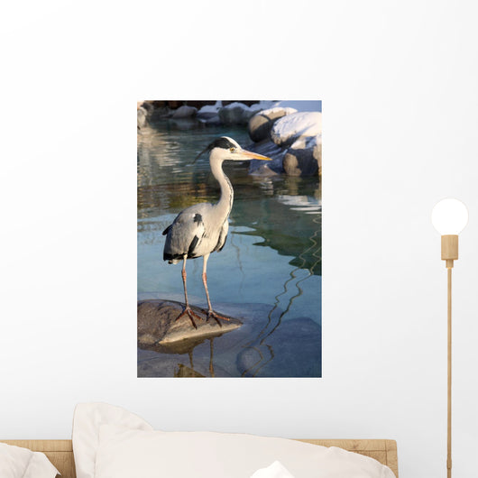 Gray Heron Ardea Cinerea Wall Decal