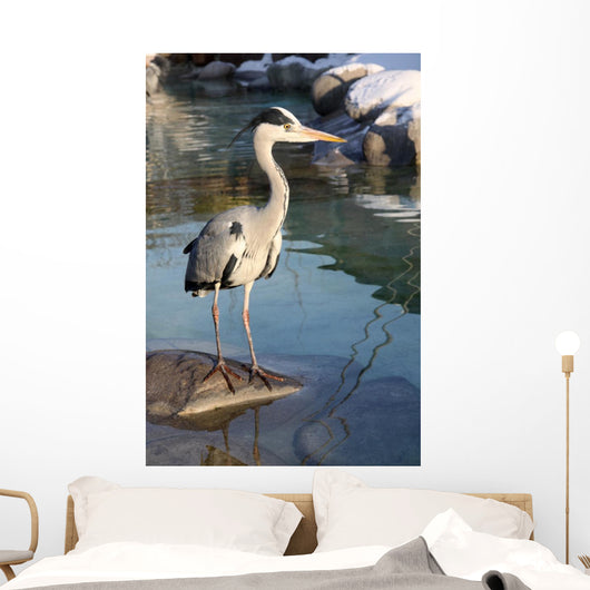 Gray Heron Ardea Cinerea Wall Decal