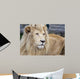 White Lion Wall Decal
