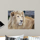 White Lion Wall Decal