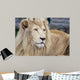 White Lion Wall Decal