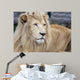 White Lion Wall Decal
