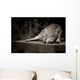 Sleeping Wolf Wall Decal