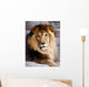 Lion Wall Decal Design 2