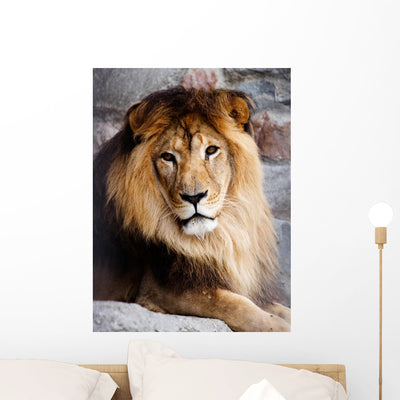 Lion Wall Decal Design 2 shown on a wall