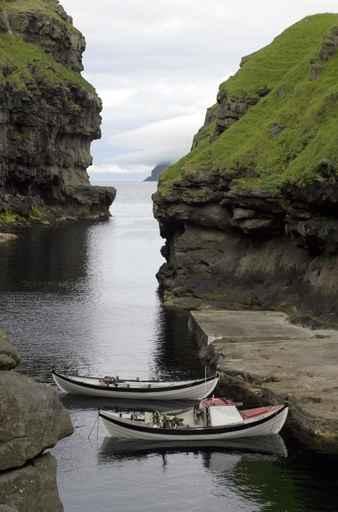 Natural Harbor Wall Decal
