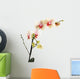 Orchid Wall Decal