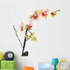 Orchid Wall Decal