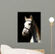 Pferd Vor Dunklem Hintergrund Wall Decal