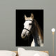Pferd Vor Dunklem Hintergrund Wall Decal