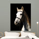 Pferd Vor Dunklem Hintergrund Wall Decal