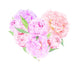 Floral Heart Pink Peonies Wall Decal