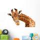 Portrait Giraffe Wall Decal