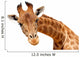 Portrait Giraffe Wall Decal
