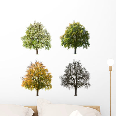 Pear Tree Seasons Wall Stickers Wall Decal shown on a wall