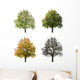 Pear Tree Seasons Wall Stickers Wall Decal