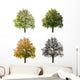 Pear Tree Seasons Wall Stickers Wall Decal