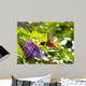 Rufous Hummingbird Wall Decal