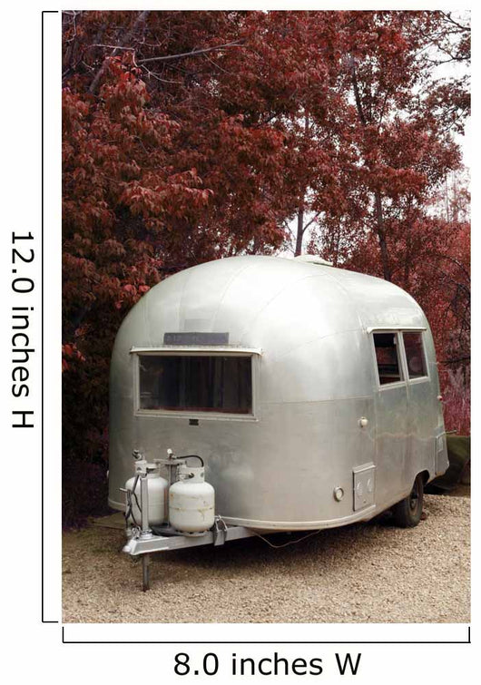 Safari Airstream Trailer Camper Wall Decal