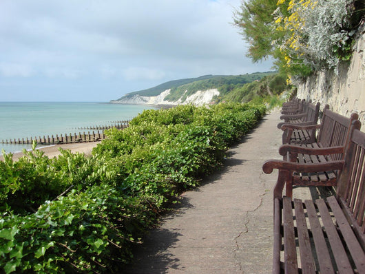 Seaside Promenade Wall Decal
