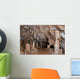 Cave Wall Decal Design 2