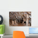 Cave Wall Decal Design 2