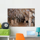 Cave Wall Decal Design 2