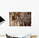 Cave Wall Decal Design 1