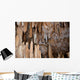 Cave Wall Decal Design 1