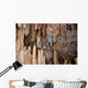 Cave Wall Decal Design 1