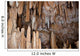 Cave Wall Decal Design 1