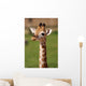 Puppy Giraffe Wall Decal