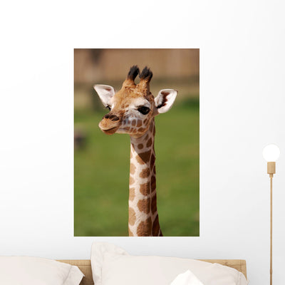 Puppy Giraffe Wall Decal shown on a wall