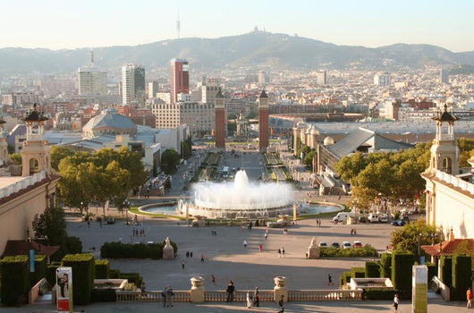 Barcelona Evening from Montjuic Wall Decal