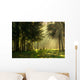 Morning Spring Forest Wall Decal